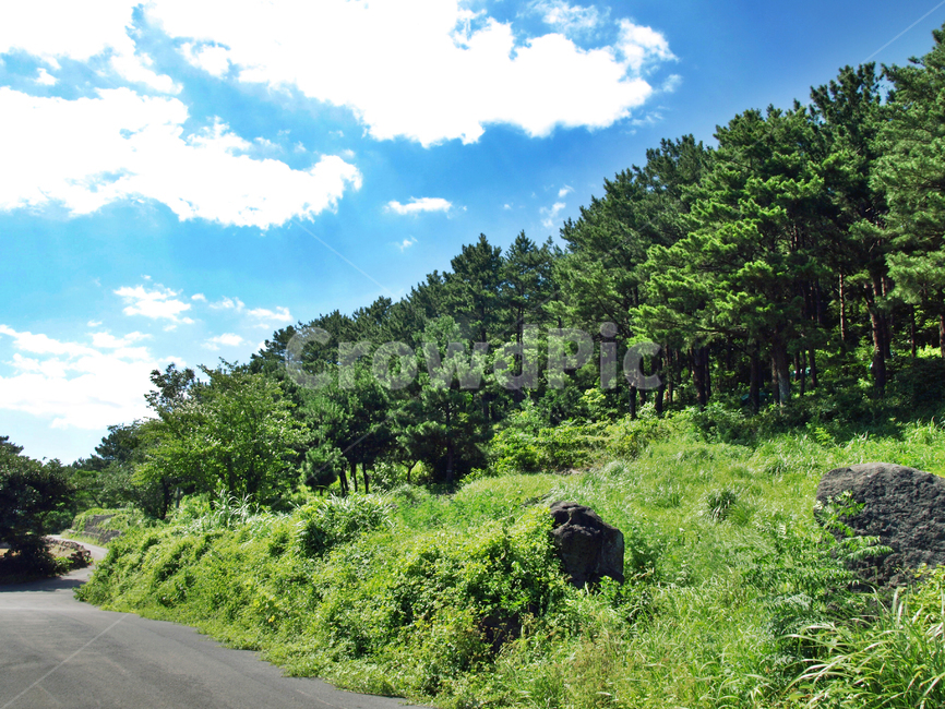 수산저수지,올레16코스,올레,제주,도로,푸른하늘,흰구름,숲,자연,풍경,nature,landscape