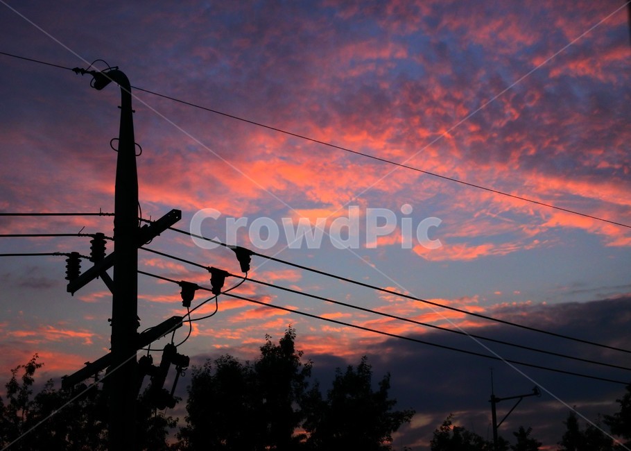 전력선,powerlines,전신주,utilitypole,케이블,cable,하늘,sky,핑크,pink,구름,cloud,cloudy,해질녘,sunset,nightfall,tree,나무,감성,감성사진