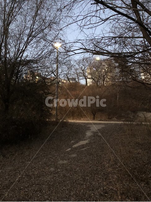 여의도,한강공원,서울,한강,공원,sky,park,sunset,자연,풍경,nature,landscape