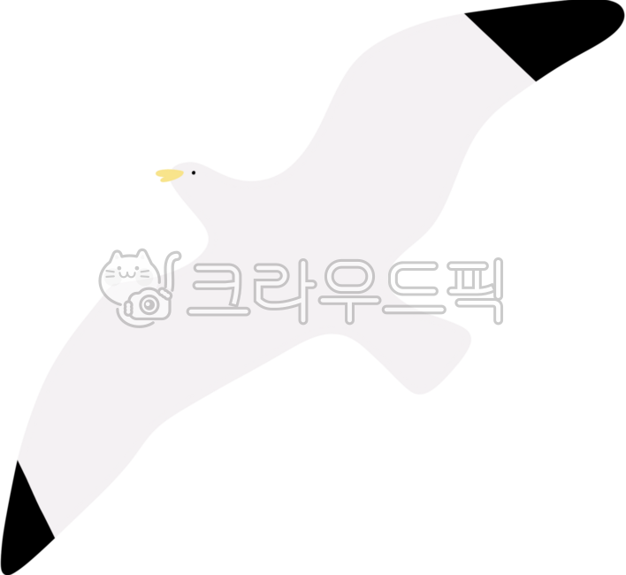 조류,갈매기,바다갈매기,항구,여행,부산,새,독도,독도갈매기,괭이갈매기,부산갈매기,동물,짹짹,귀여운갈매기,귀여운,날아가는새,독도의날,여름,날아다니는갈매기