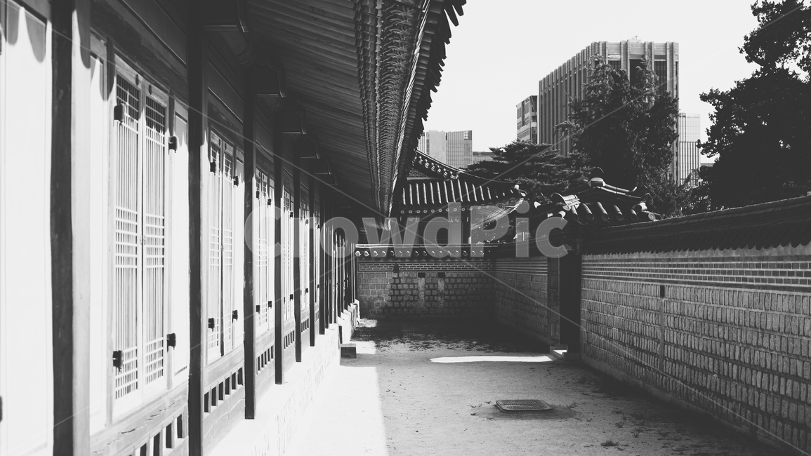 흑백,경복궁,문화재,한옥,전통,한국전통,한국문화,korean traditional,korean culture