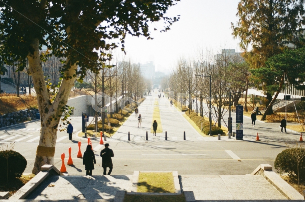 풍경,landscape,연세대학교,날씨,계절,겨울,겨울사진,풍경사진,거리,street,winter,겨울,계절,winter,season,감성,sensible,feeling