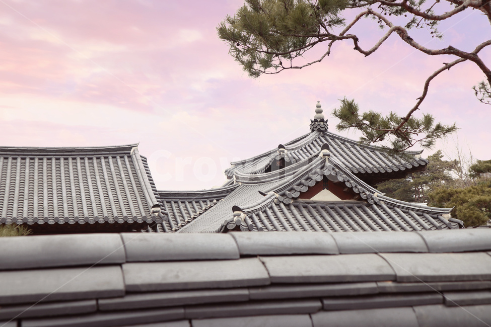 한옥,기와,전통가옥,기와지붕,한옥마을,한국전통,한국문화,korean traditional,korean culture