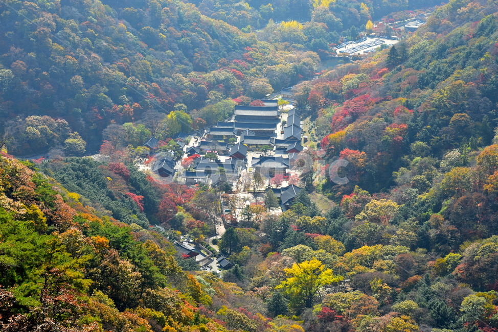 자연,풍경,단풍,계절,가을,잎,단풍잎,붉은,노란,사찰,낙엽,나무,애기단풍,백암산,백양사,fall,autumn,season,nature,landscape,한국자연풍경,한국자연경관,korea,tree,maple,leaf,가을,계절,fall,autumn,season,자연,풍경,nature,landscape,outdoors,옥외,경치,scenery,aerial view,조감도