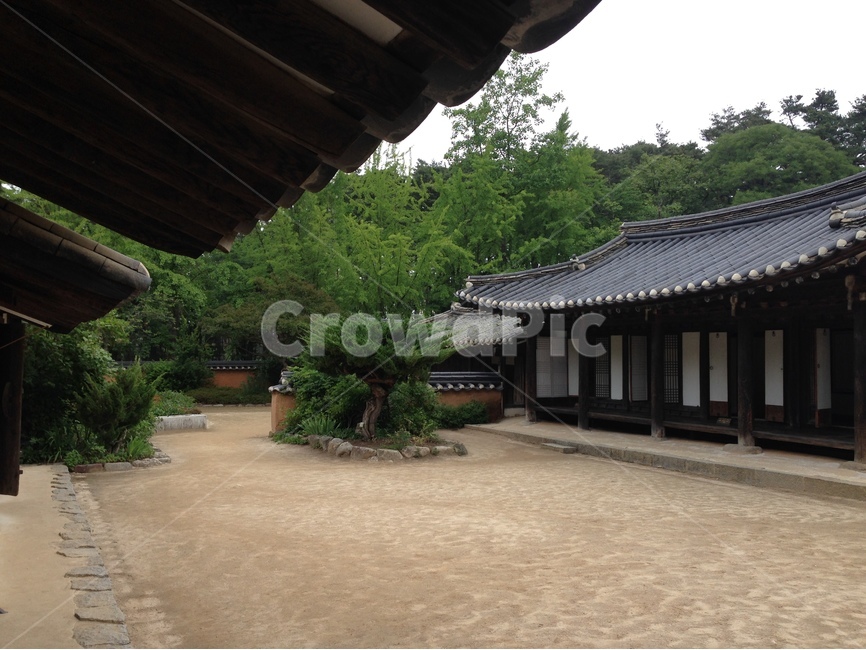 허난설헌생가,허난설헌,허균생가,허균,목조건축,고택,건축,한옥,기와,담장,강릉,대한민국,한국,heonanseolheonsbirthplace,heonanseolheon,heogyunsbirthplace,heogyun,woodenarchitecture,oldhouse,architecture,hanok,rooftile,wall,gangneung,republicofkorea,southkorea,한국전통,한국문화,korean traditional,korean culture,건축물,건물외관,exterior,building,structure,architecture,construction