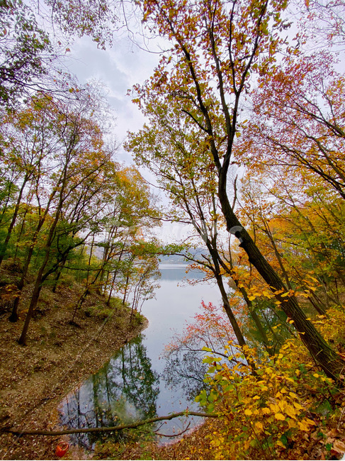 단풍,나무,자연,outdoors,호수,가을,계절,fall,autumn,season,water,물,land,땅,nature,옥외