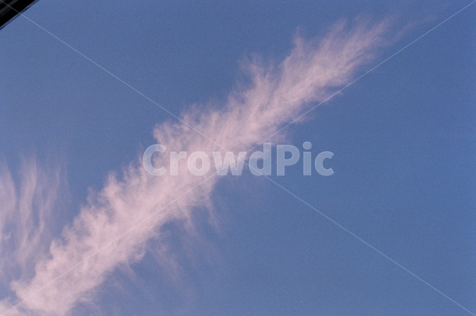 구름,하늘,푸른,sky,cloud,맑은날,blue,자연,풍경,nature,landscape,animal,동물,flying,나는,bird,새