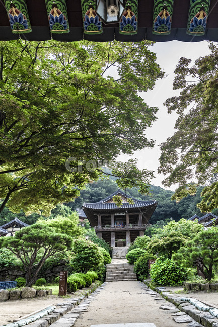 부석사,문화유산,전통가옥,사찰,불교,종교,문화재,전통건축물,단청,한국의미,처마,한옥