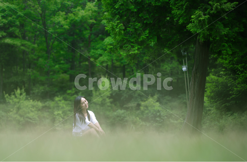 여름,잔디밭,휴식,그늘,여자,사람,미소,그림자,초록,나무,자연,풍경,nature,landscape,사람,인물,인간,human,person,여성,여자,woman,female,lady,감성,sensible,feeling,휴식,힐링,rest,relaxation,healing,vegetation,초목,plant,식물,land,땅,forest,숲,woodland,삼림지,tree,outdoors,옥외
