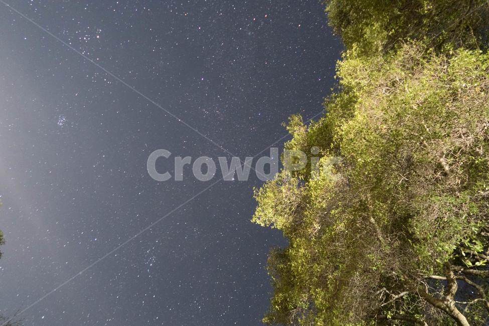 nature,자연,outdoors,옥외,야경,별,야경,밤,풍경,nightscape,night,landscape