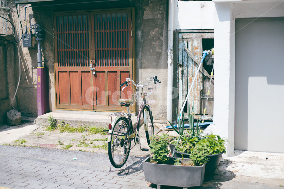 자전거,미니화단,골목,길거리,나무문,옛날골목,bicycle,street,closeddoor,골목길,alley,감성,sensible,feeling,빈티지사진,빈티지느낌,빈티지감성,vintage,bike,vehicle,차량,transportation,교통,machine,기계,wheel,바퀴