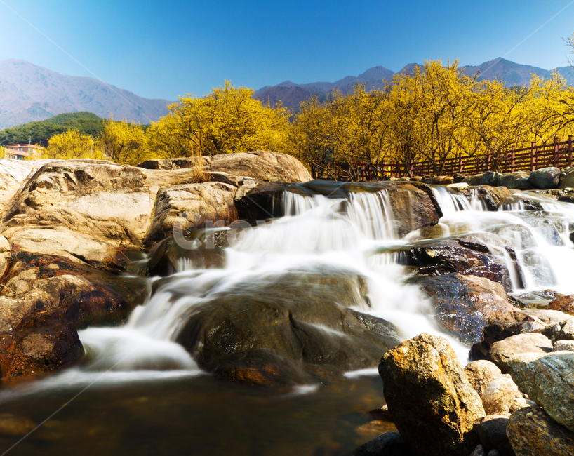 water,물,outdoors,nature,자연,river,waterfall,폭포,산수유,봄,나들이,구례마을,자연,풍경,nature,landscape,강,옥외