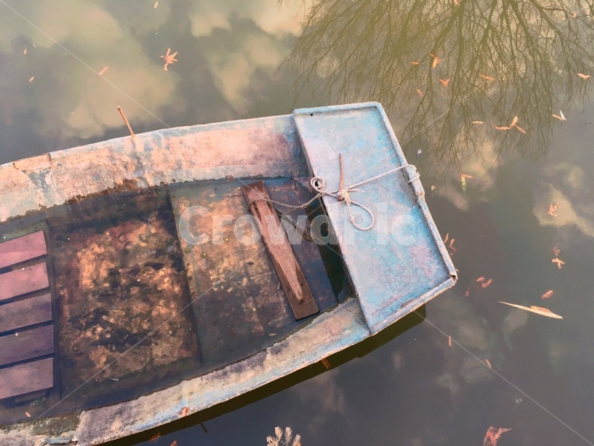 배,보트,나룻배,물,water,land,나무,잎,나뭇잎,자연,nature