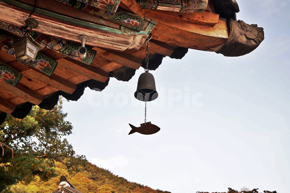 청계사,불교사찰,의왕시,불교,처마,풍경,한국전통,한국문화,korean traditional,korean culture,건축물,건물외관,exterior,building,structure,architecture,construction
