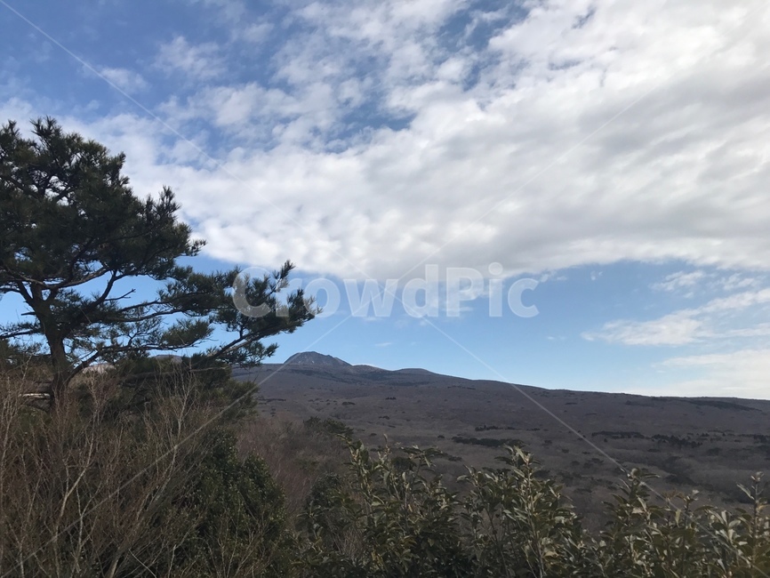 제주도,한라산,자연,jeju,산