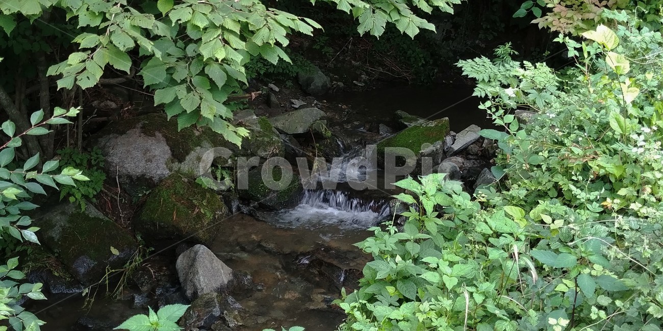 금강발원지,뜬봉샘,신무산,강태등골,수분리,물뿌랭이마을,자연,풍경,nature,landscape,water,물,outdoors,옥외