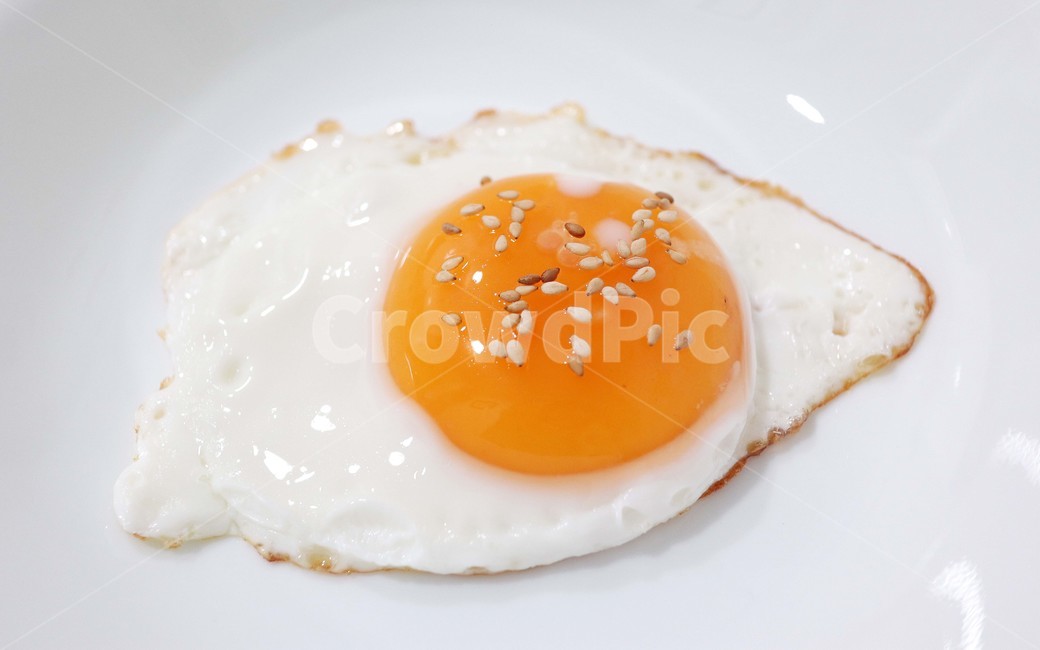 깨,달걀후라이,계란후라이,달걀,계란,후라이,음식,식재료,요리,food,cook,meal,dishes,food reserves