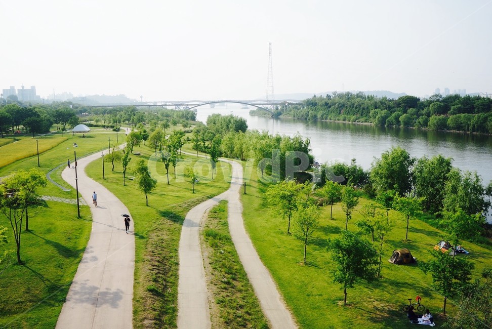 한강,river,자연,풍경,식물,잔디,경치,nature,outdoors,scenery,자연,풍경,nature,landscape,옥외,grass,plant,path,통로