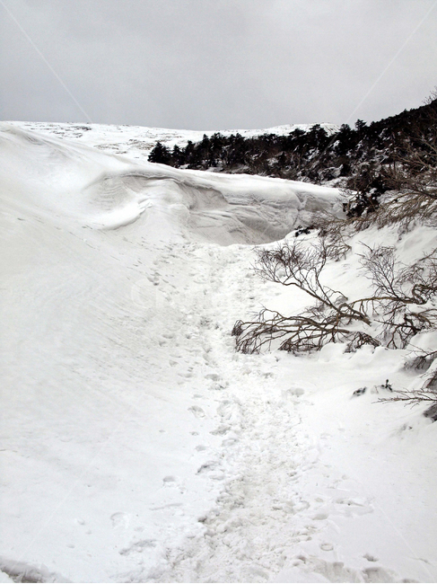 어리목,한라산,제주도,겨울,겨울산,설화,설목,설경,눈,등산,발자국,겨울,계절,winter,season,자연,풍경,nature,landscape,outdoors,옥외,mountain,산,snow