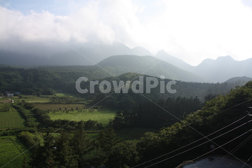 nature,자연,outdoors,옥외,울릉도,자연,풍경,nature,landscape