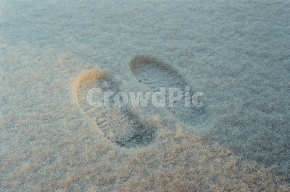 발자국,눈,겨울,snow,winter,footprint,계절,season,겨울,계절,winter,season