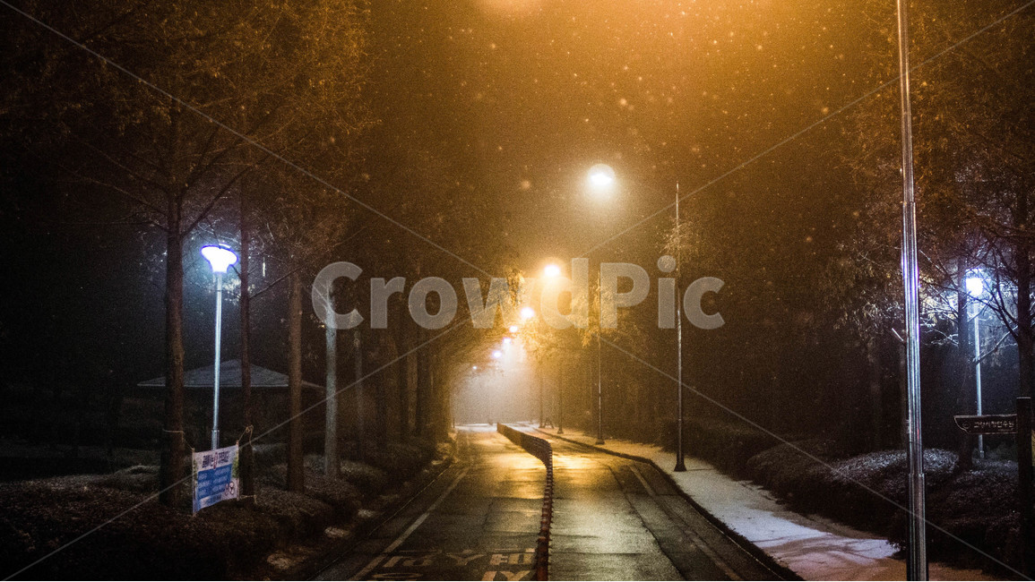 야경,눈,가로등,도로,밤,겨울,계절,winter,season,야경,밤,풍경,nightscape,night,landscape,light,빛,flare,플레어