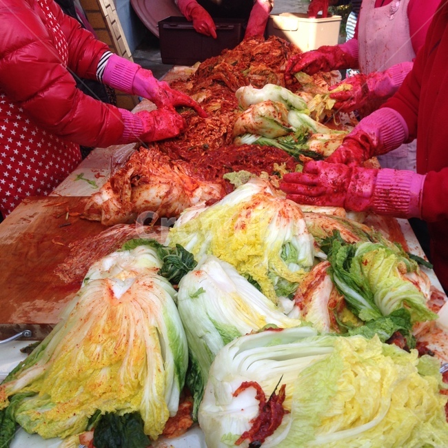 김치,김장,배추,무,김치양념,양념,고추,협동,시골,무채,무양념,김장철,겨울