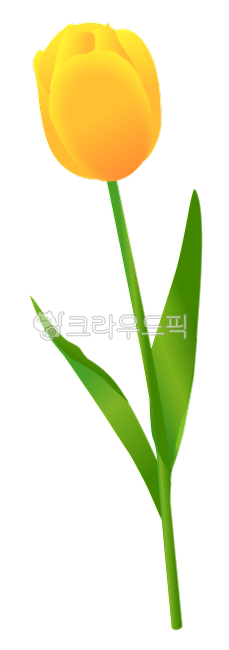 튤립,꽃,튤립일러스트,꽃일러스트,꽃그림,그림,일러스트,illustration,봄,spring,봄맞이,flower,그래픽,grahpic,꽃다발,노란꽃,tulip
