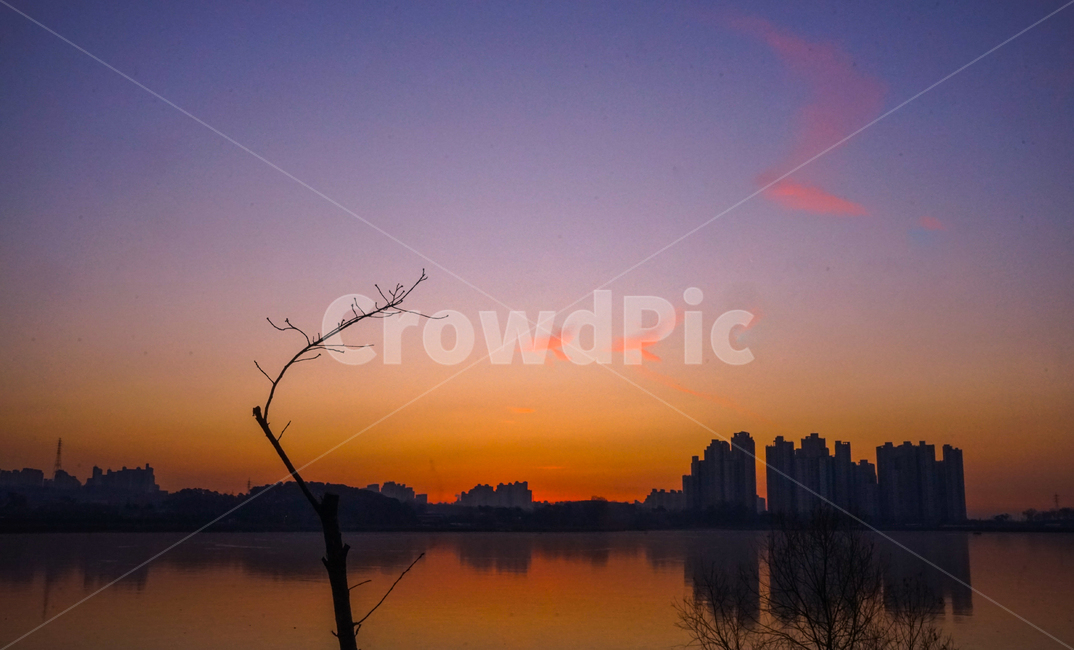 호수,여명,새벽,나무,건물,풍경,겨울,계절,감성,도시,풍경,city,landscape,한국도시풍경,한국도시경관,korea cityscape,실루엣,그림자,silhouette,shadow,nature,자연,dusk,황혼,outdoors,옥외,dawn,red sky,붉은 하늘,sky,하늘,sunset,일몰