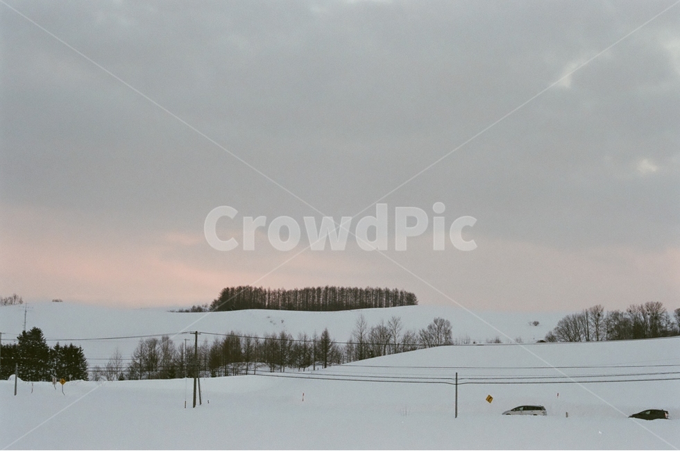 겨울,홋카이도,비에이,눈의왕국,필름사진,감성사진,겨울,계절,winter,season,자연,풍경,nature,landscape,해외,외국,세계,foreign,oversea,world,세계자연풍경,해외자연풍경,외국자연풍경,world nature landscape,감성,sensible,feeling,plant,식물,tree,나무,outdoors,옥외,abies,아비,fir,전나무