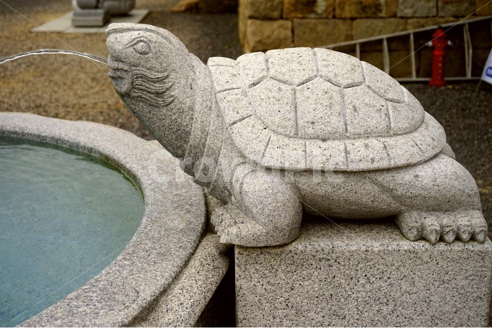 약수,물,돌조각상,돌,거북이,사찰,절,water,softener,ston,stonstatue,한국전통,한국문화,korean traditional,korean culture,조각상,동상,석상,조형물,statue,bronze statue,stone statue