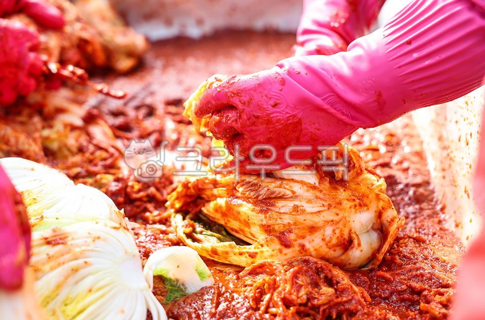 김치,김장,김장준비,담그기,김치공장,고추가루,공장,절임배추,배추김치,전통음식,겨울음식,야채,채식,발효,신선한,빨간,단체,봉사활동,행사,배추,고추장,양념,반찬,손,한식,한국음식,한국