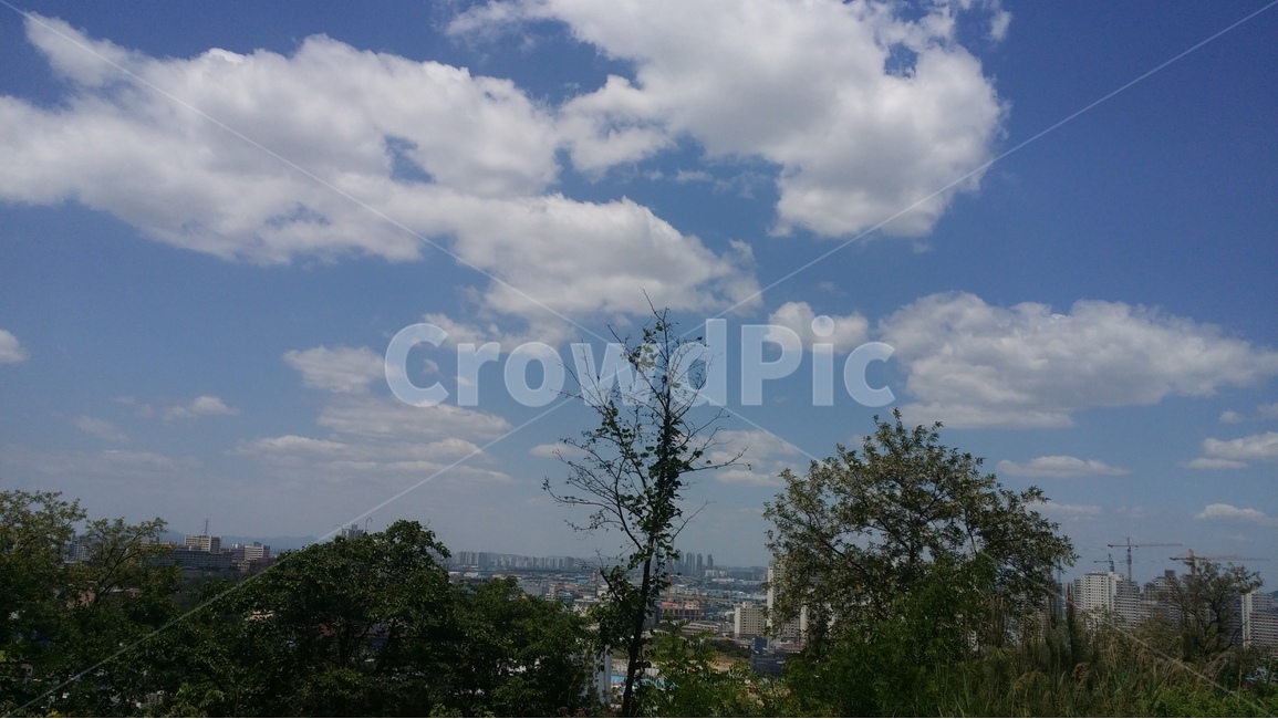 뭉게구름,맑은날,공기,숲,안식,평안,더위,여름,도시,풍경,city,landscape,한국도시풍경,한국도시경관,korea cityscape,weather,날씨,nature,자연,cloud,구름,cumulus,적운,sky,하늘,outdoors,옥외