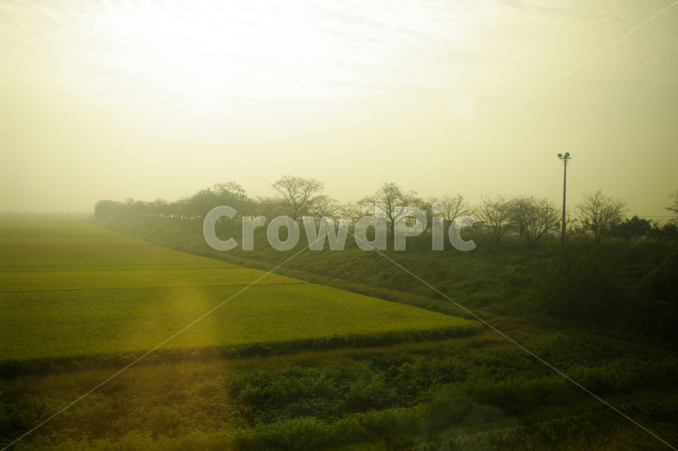 창,풍경,하늘,밭,논,자연,풍경,nature,landscape,field,들,outdoors,옥외,grassland,목초지,paddy field,패디 필드