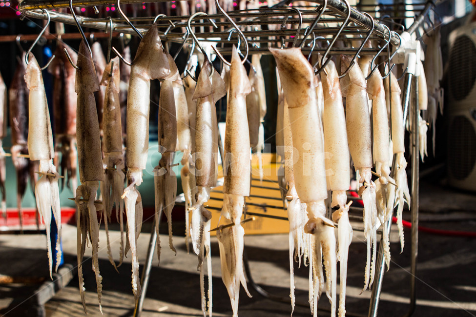 오징어,수산시장,말린오징어,오징어회,회,음식,식재료,요리,food,cook,meal,dishes,food reserves,수산물,해산물,fishery products,seafood