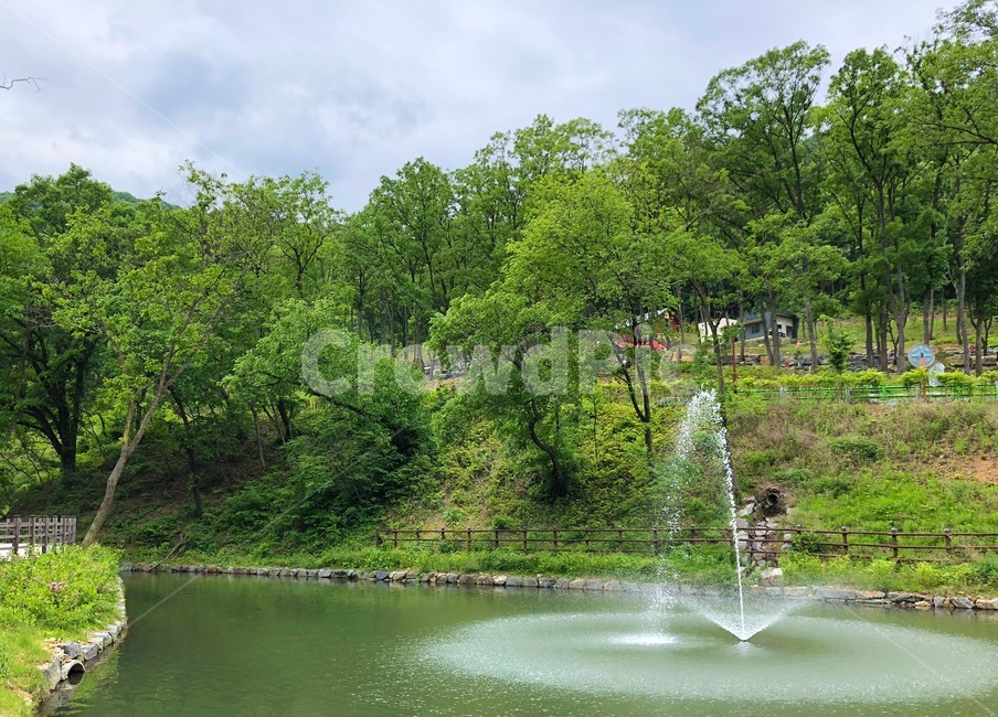 분수,자연,봄,여름,나무,숲,nature,spring,summer,tree,forest