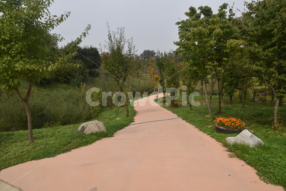 road,도로,나무,식물,수목원,바다향기수목원,자연,풍경,nature,landscape,tree,plant
