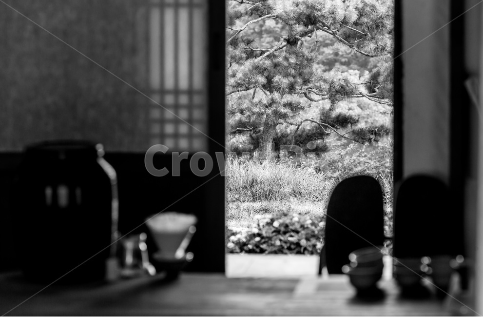 칠장사,고찰,소나무,정원,감성,한국전통,한국문화,korean traditional,korean culture,흑백,모노톤,monochrome,black and white,인테리어,실내디자인,interior design