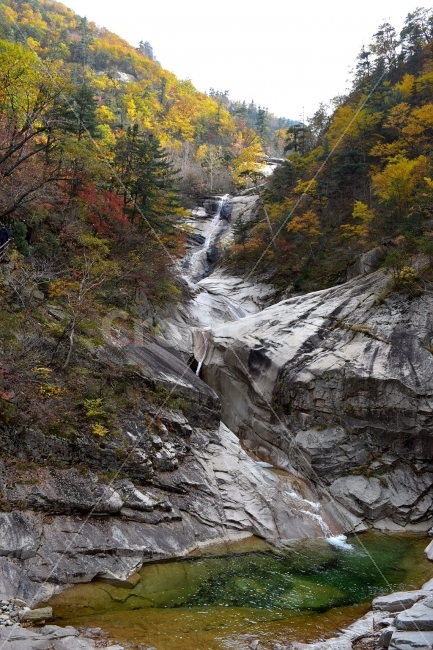 설악산,가을,단풍,풍경,동아폭포백담사,구곡담계곡,수렴동계곡,계곡풍경,오색단풍,자연,스포츠,등산,산행,nature,느낌,아름다운,다큐,필,계절,디자인,힐링,명산,국립공원,순백,트레킹,단풍잎,오색,칼라풀,뷰티플,단풍터널,단풍숲,산객,등산객,그림같은,감성,절경,가을색,자연,풍경,nature,landscape,가을,계절,fall,autumn,season,water,물,outdoors,옥외