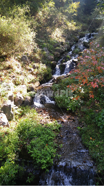 폭포,미니폭포,춘천,가을,풍경,자연,물소리,자연,풍경,nature,landscape,water,물,outdoors,옥외,stream,흐름,creek,작은 만