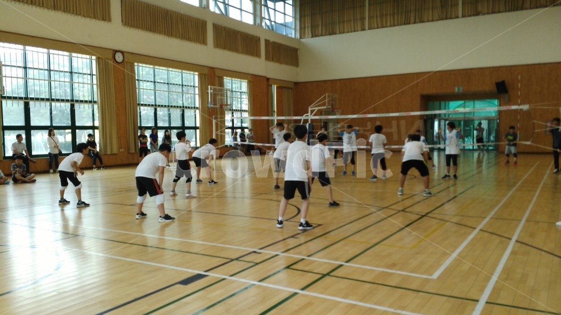 배구,소녀,소년,응원,네트,체육관,실내,운동,화이팅,스포츠,레저,운동,sports,leisure,exercise