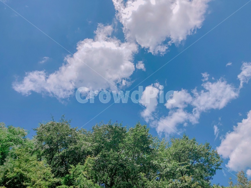 하늘,나무,푸른,맑은날,구름,자연,풍경,nature,landscape,outdoors,옥외,weather,날씨,cumulus,적운,cloud,sky