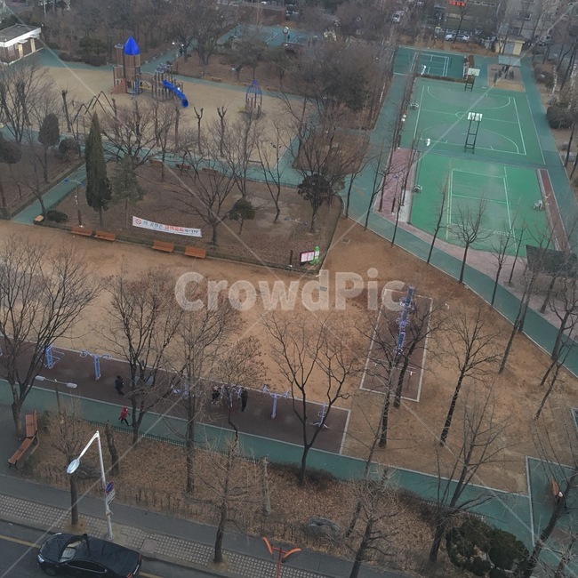 공원,겨울,체육관,운동,나무,배경