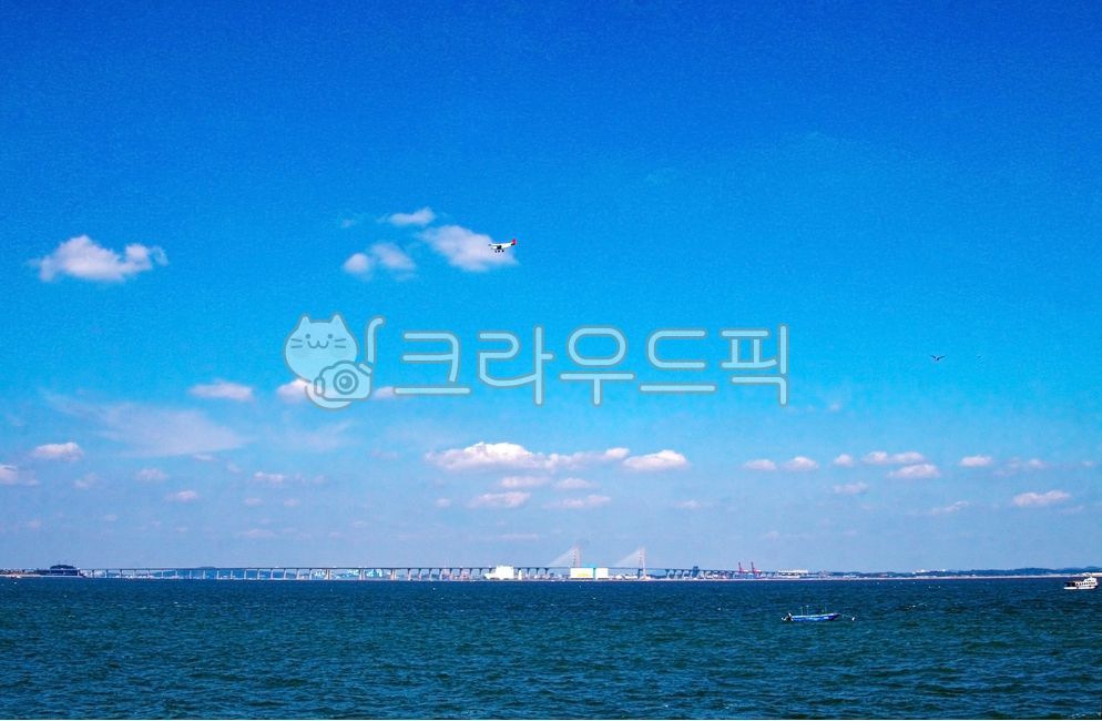 서해대교,비행기,바다,갈매기,하늘
