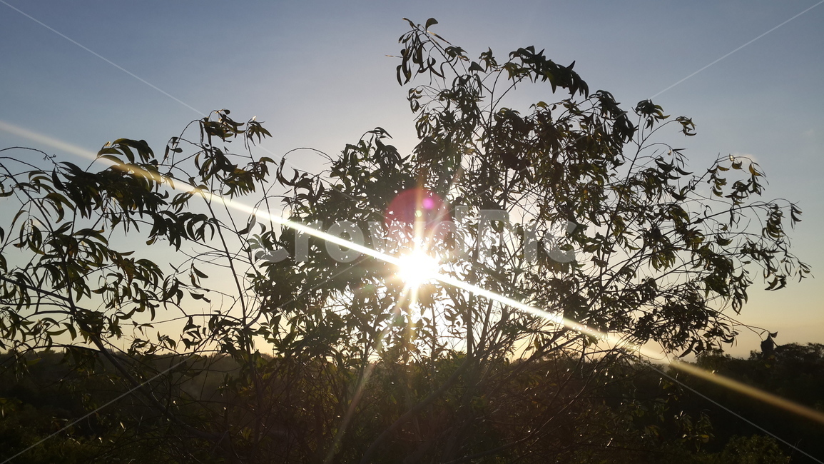 햇살,햇빛,sunlight,하늘,sky,빛,light,나무,tree,자연,nature,flare,플레어,자연,풍경,nature,landscape