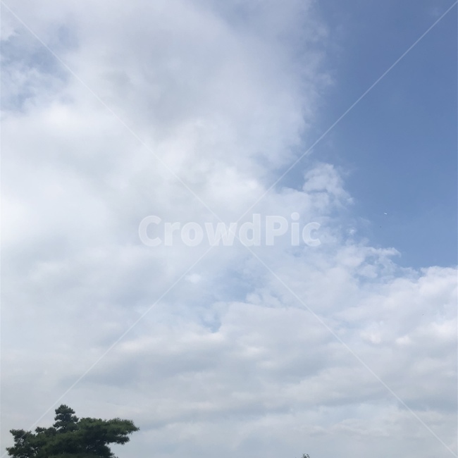 하늘,연한하늘,구름,날씨,나무,자연,풍경,nature,landscape,outdoors,옥외