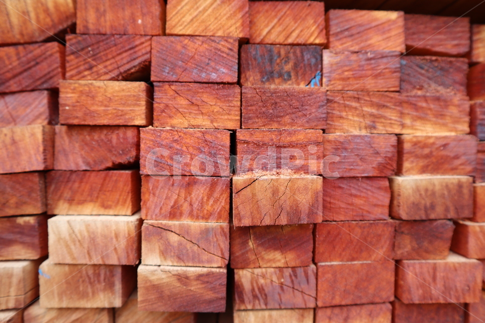 목재,나무,재목,나무조각,땔감,wood,tree,lumber,timber,firewood