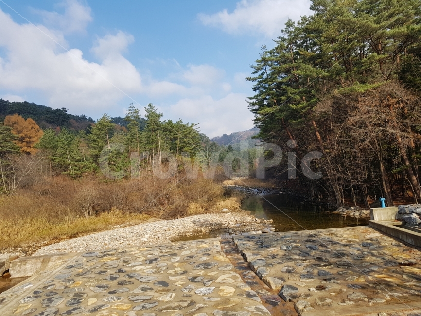 여행,강원도,숲,자연,나무,하늘,냇가,가을,계절,fall,autumn,season,자연,풍경,nature,landscape,한국자연풍경,한국자연경관,korea nature landscape,outdoors,옥외,water,물
