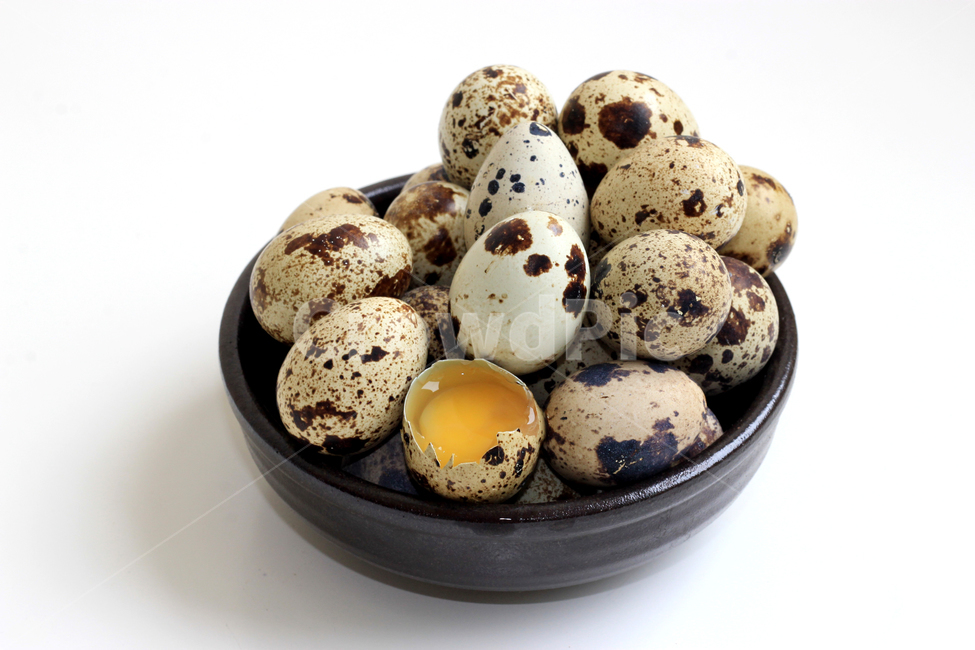 메추리알,메추라기,홈쿡,요리재료,정물,음식,식재료,요리,food,cook,meal,dishes,food reserves