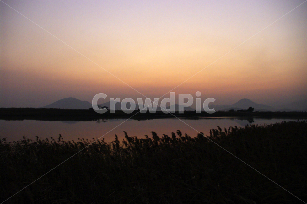 순천만,일몰,노을,풍경,갈대밭,강,하늘,그림자,자연,풍경,nature,landscape,outdoors,옥외,dusk,황혼,sunset,sky,dawn,새벽,red sky,붉은 하늘